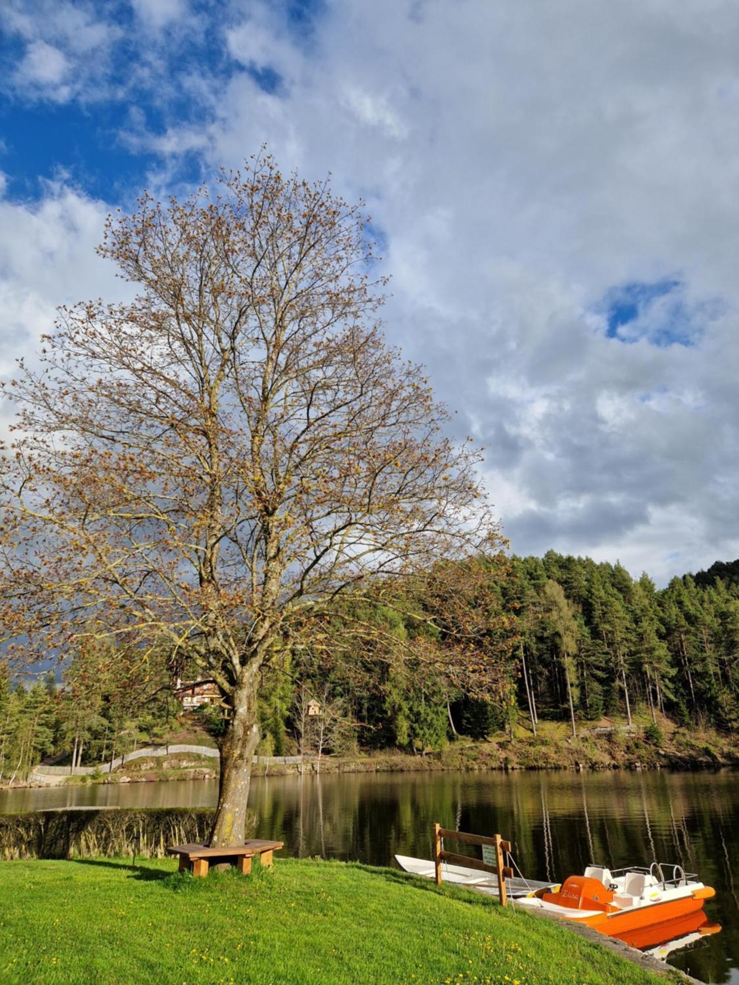 Hotel Am Wolfgrubenersee سوبرابولتْسانو المظهر الخارجي الصورة